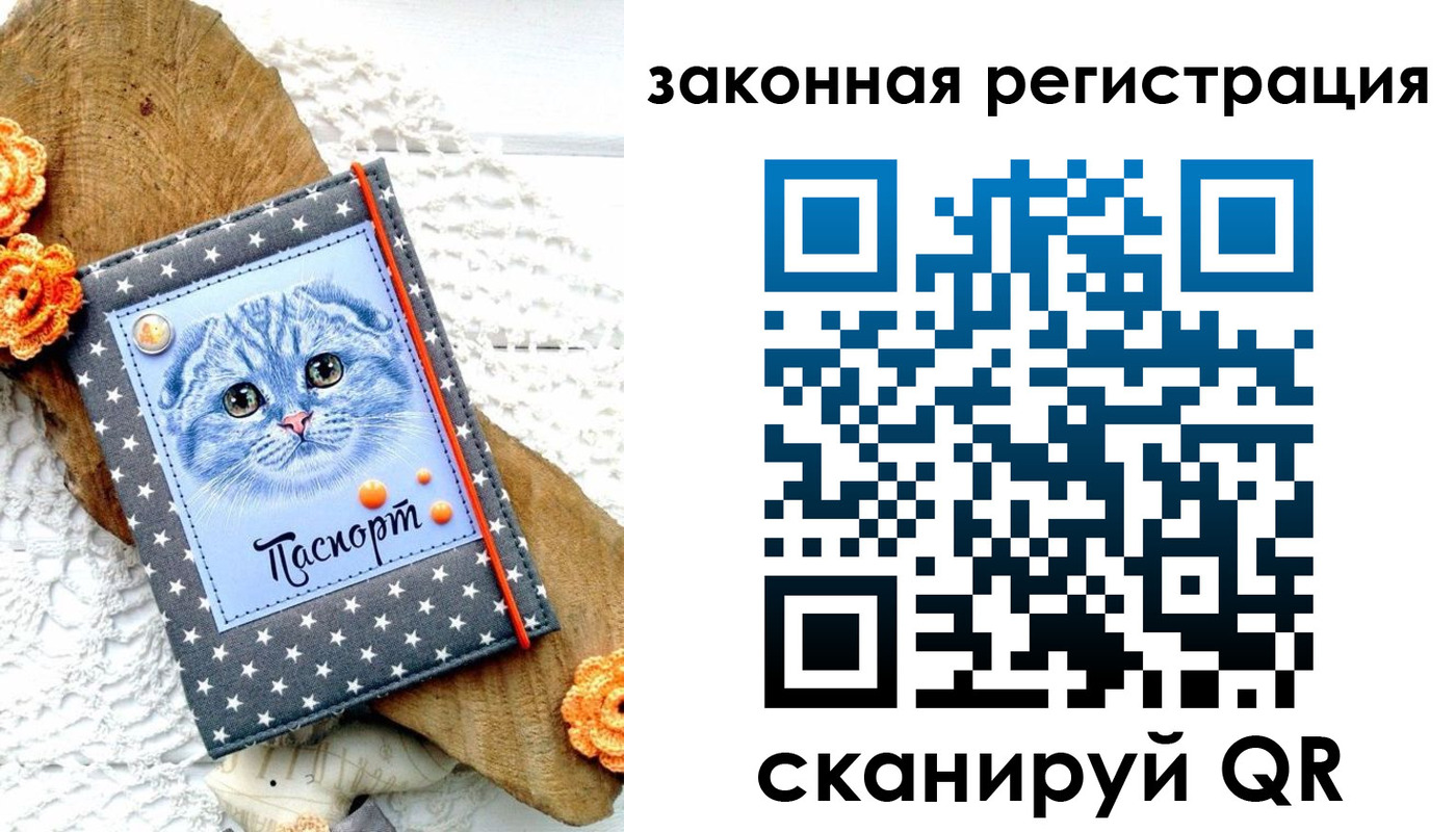 регистрация в Высоковске
